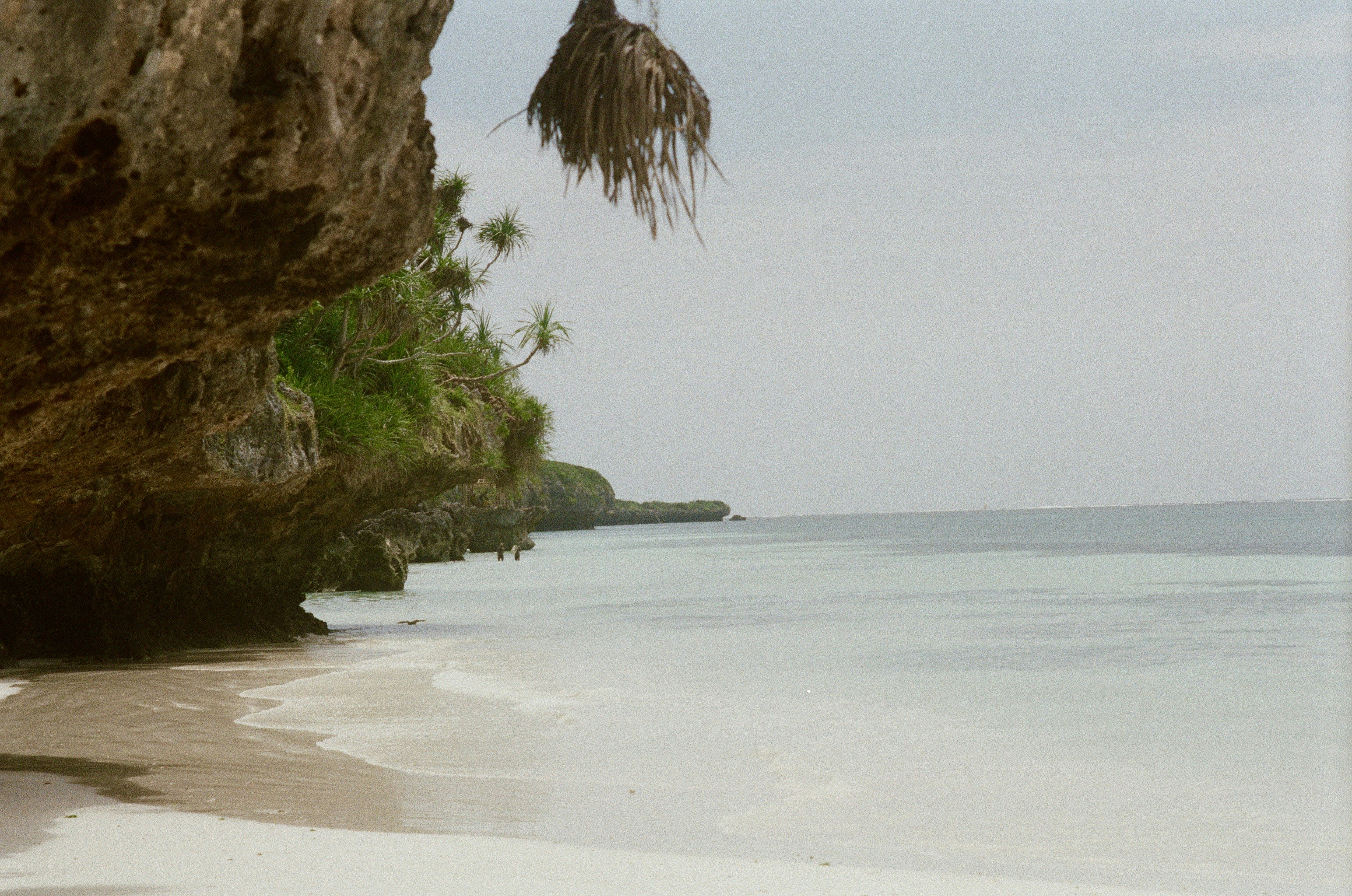 Strand von Sansibar mit Palmen und klarem Wasser