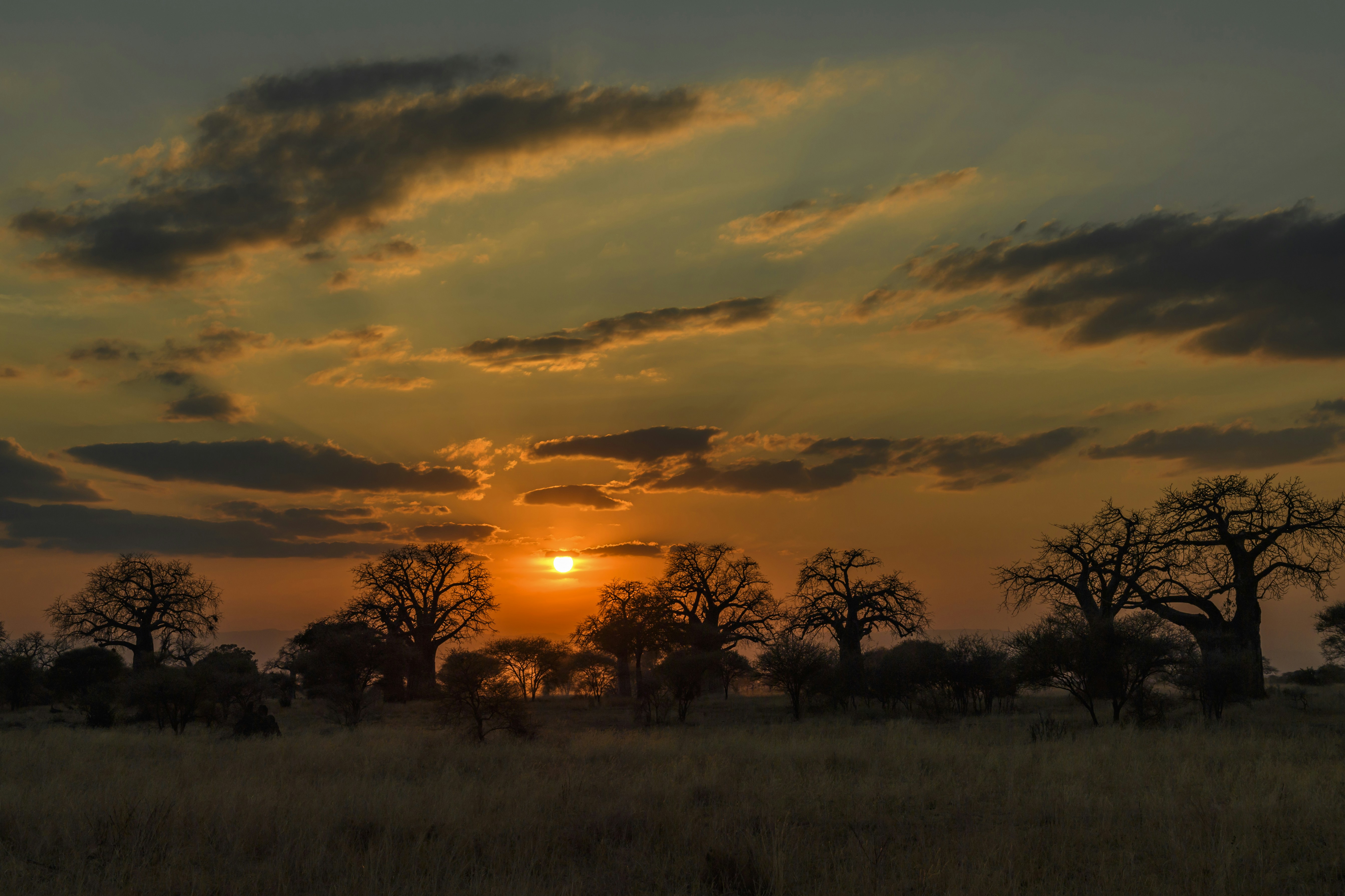 Sonnenuntergang über Tansanias Serengeti während der Trockenzeit