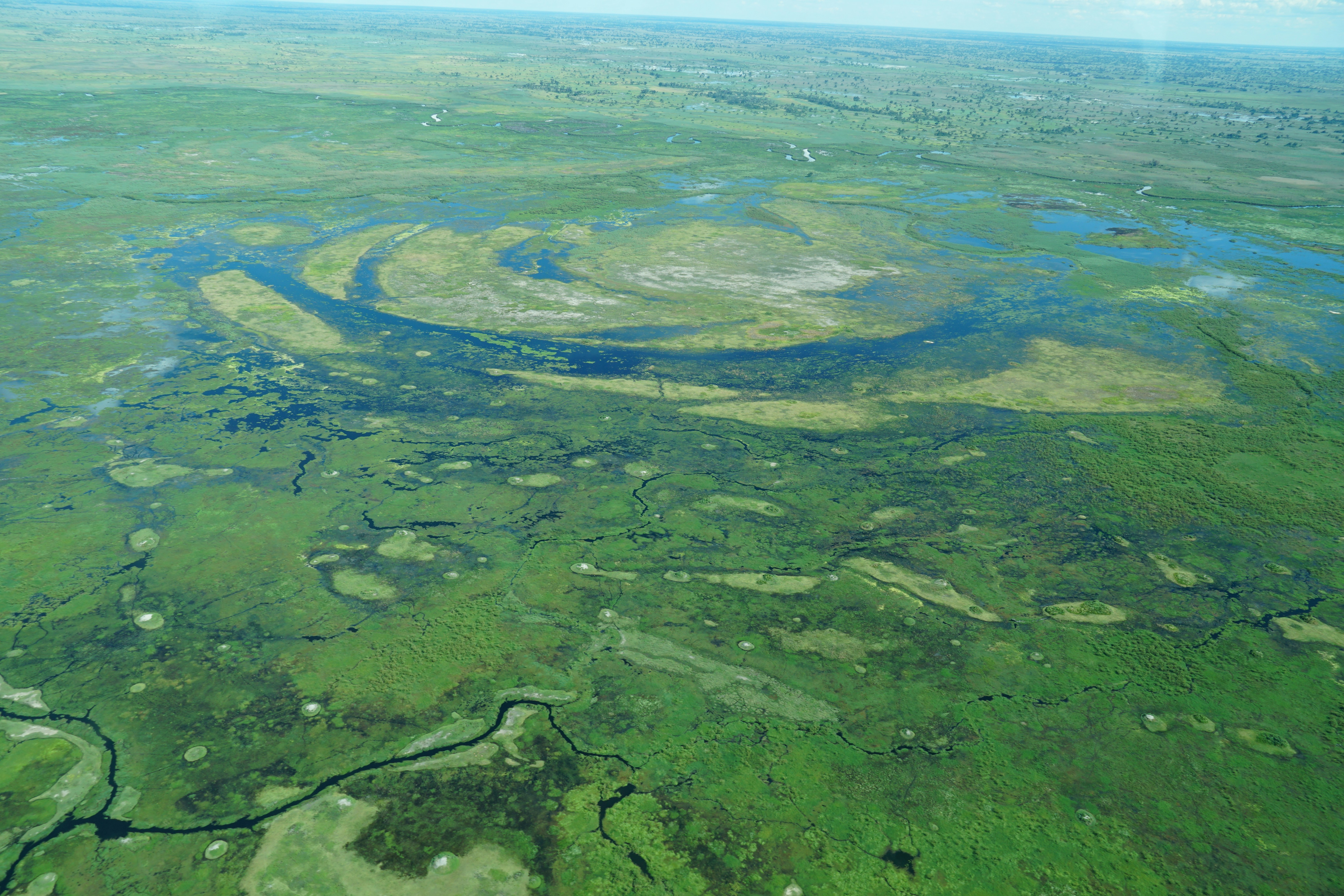 Scenic view of Okavango Delta waterways from above